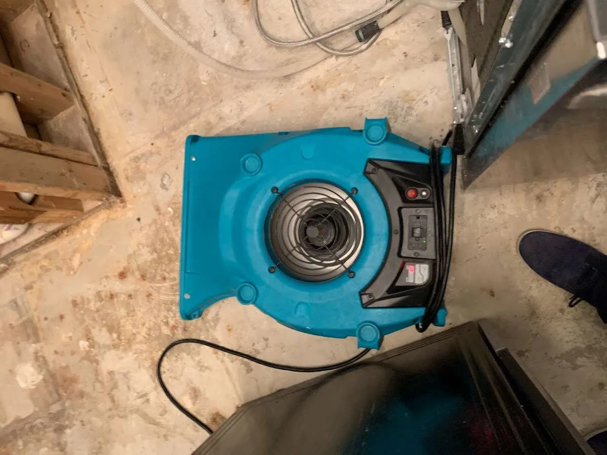 Air mover drying equipment for Mold Remediation & Removal in East Hills